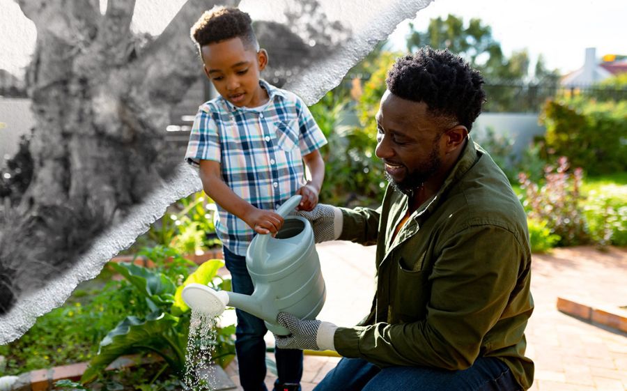 IBX News Post - Gardening Mental Health