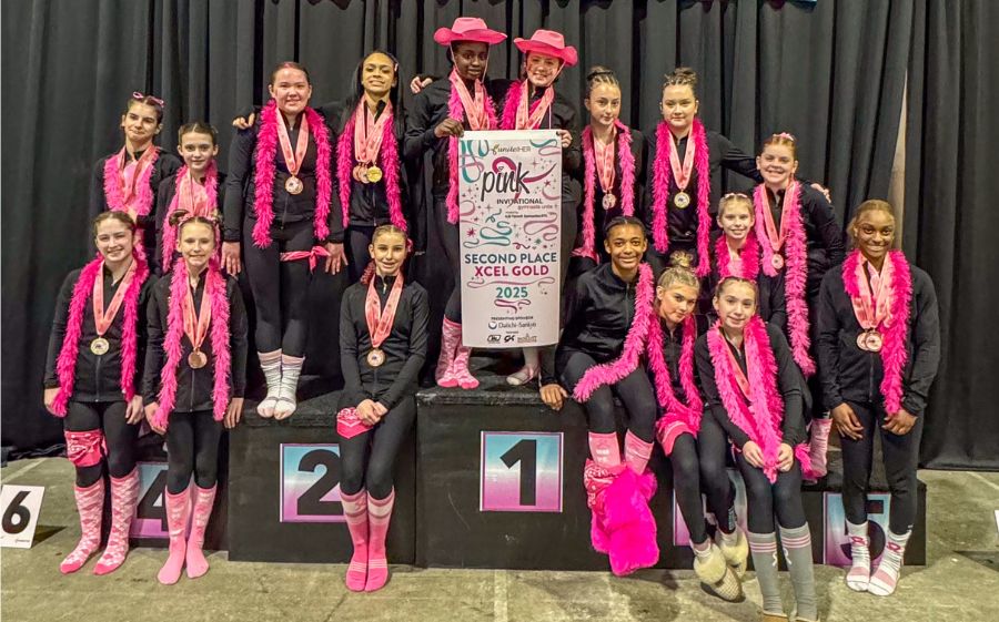 phx gymnastics pink invitational news post