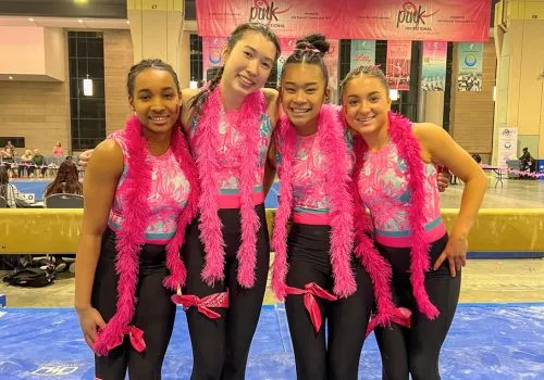 WG twisters diamond grid image