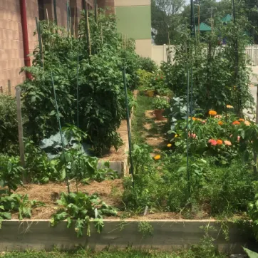 Haverford Community Garden News Post